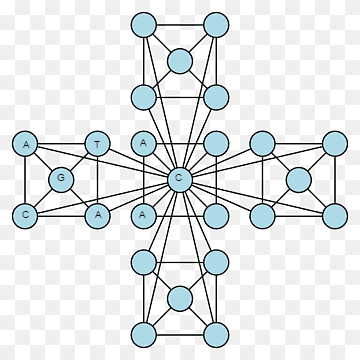 Biological Networks